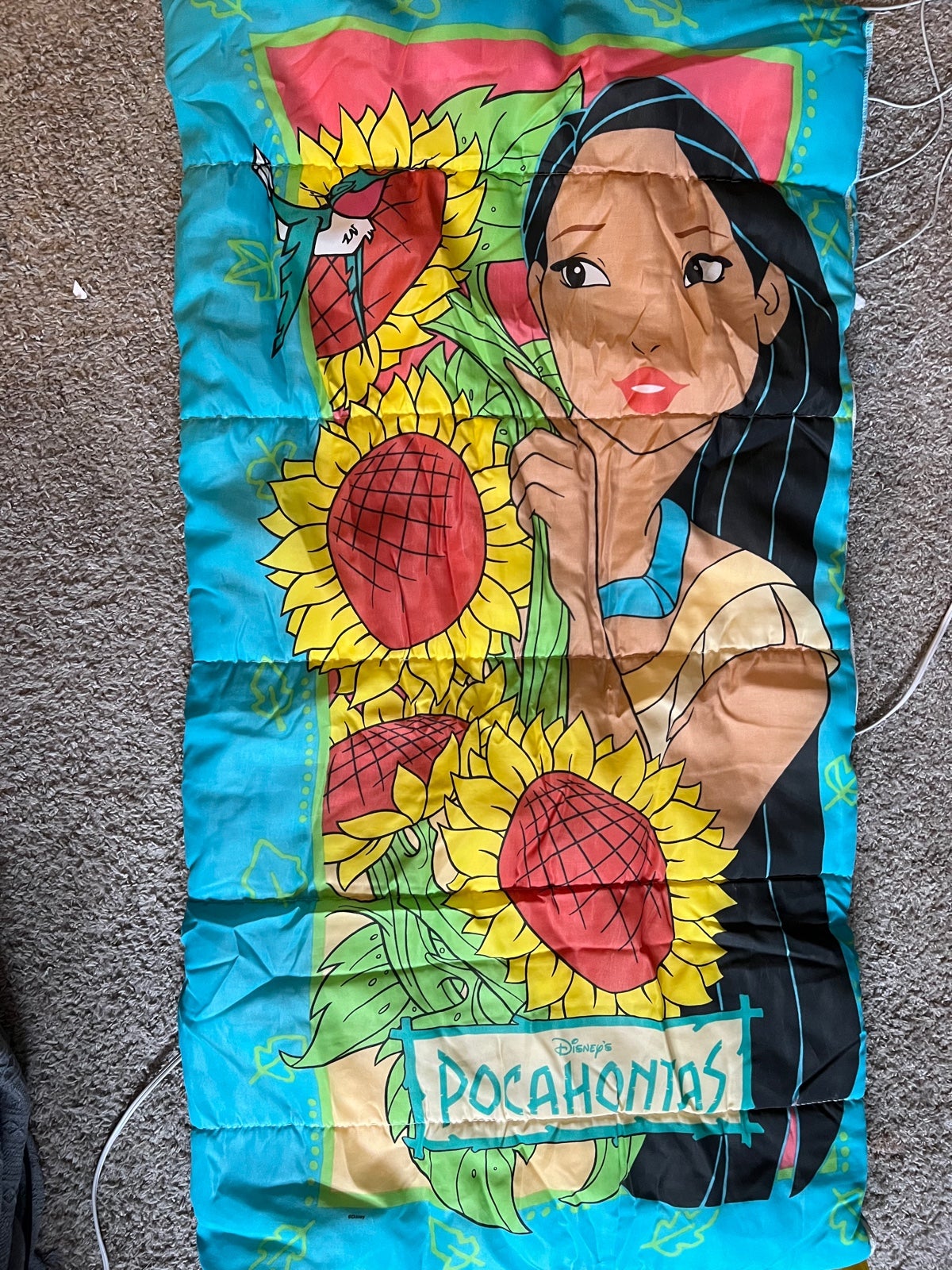 Vintage Pochantas 90s Sleeping Bag