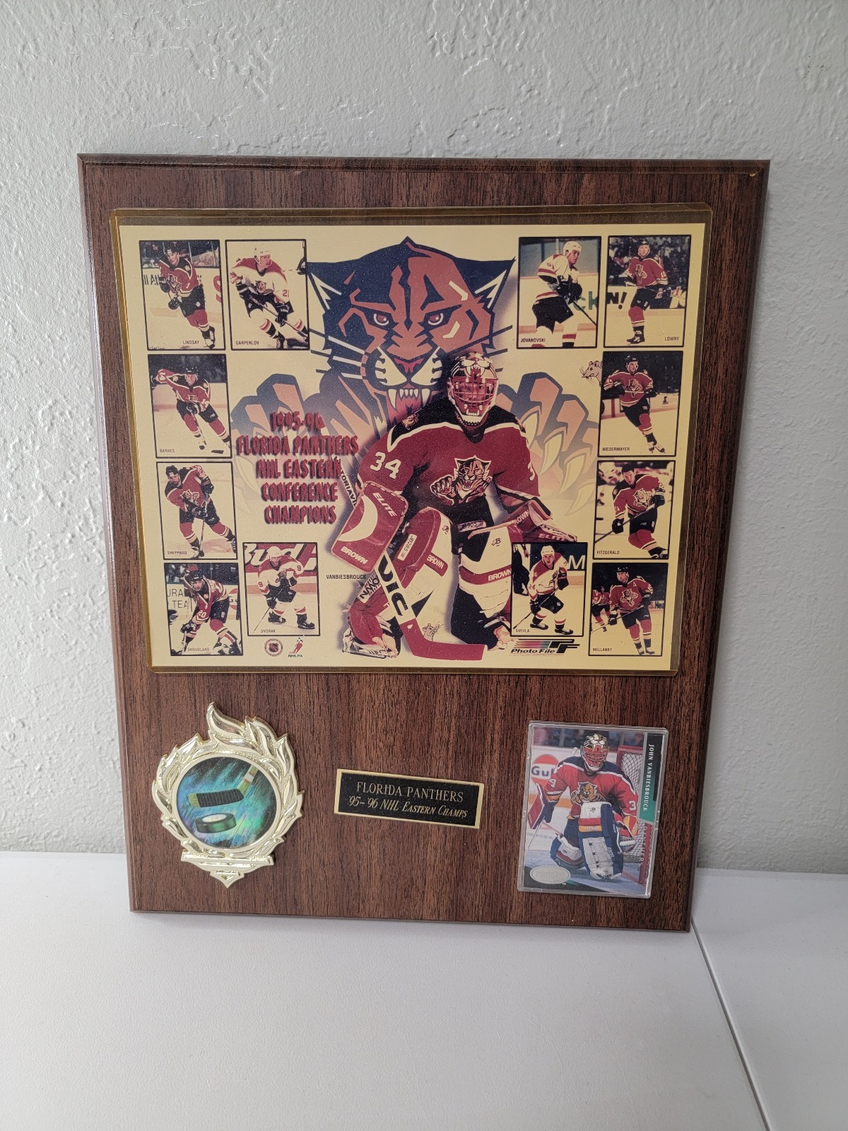 Florida Panthers NHL Collectible Wooden Plaque '95 - '96 Hockey Eastern Champs