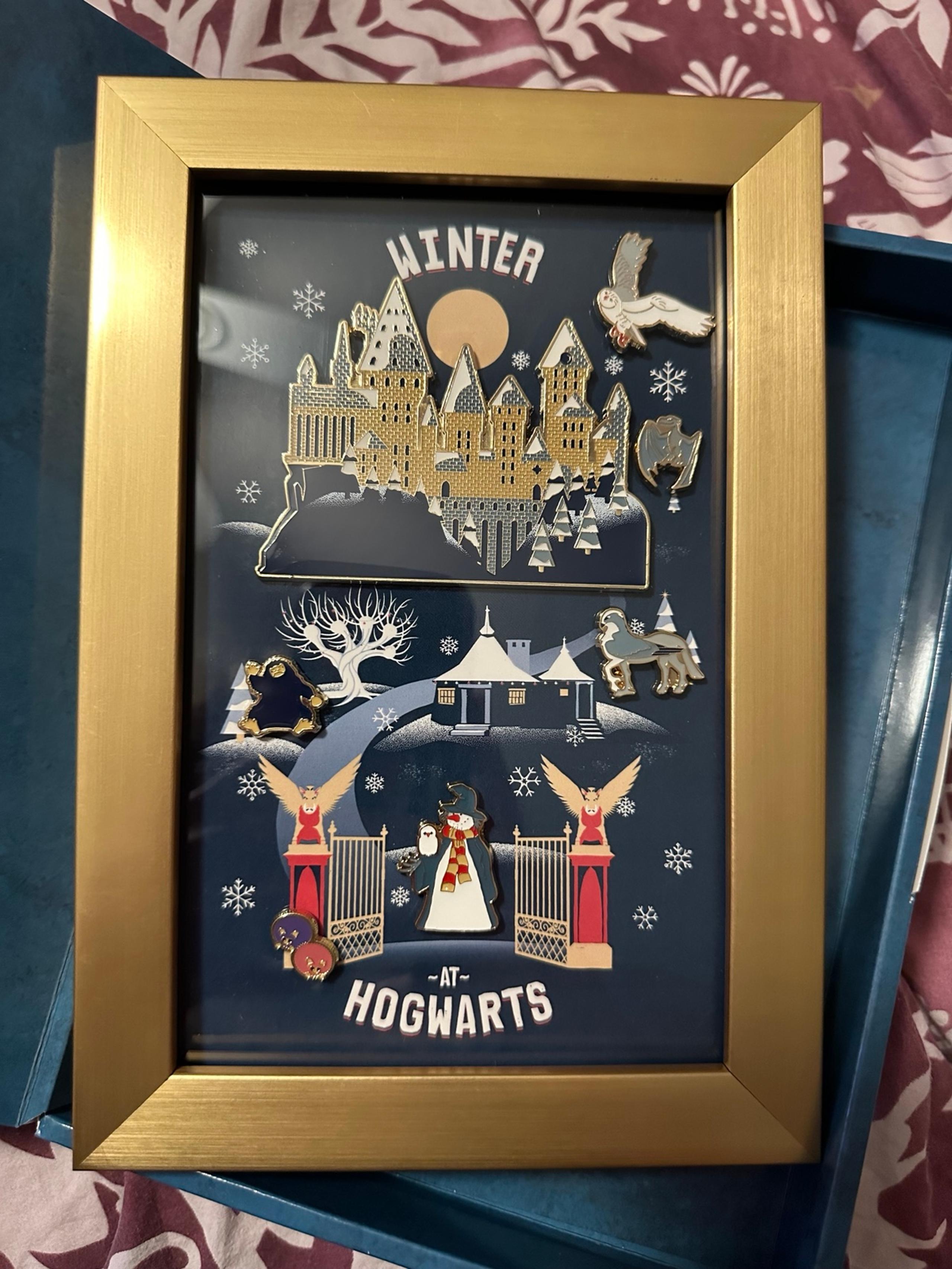 Harry Potter Universal Japan Christmas Pin Box