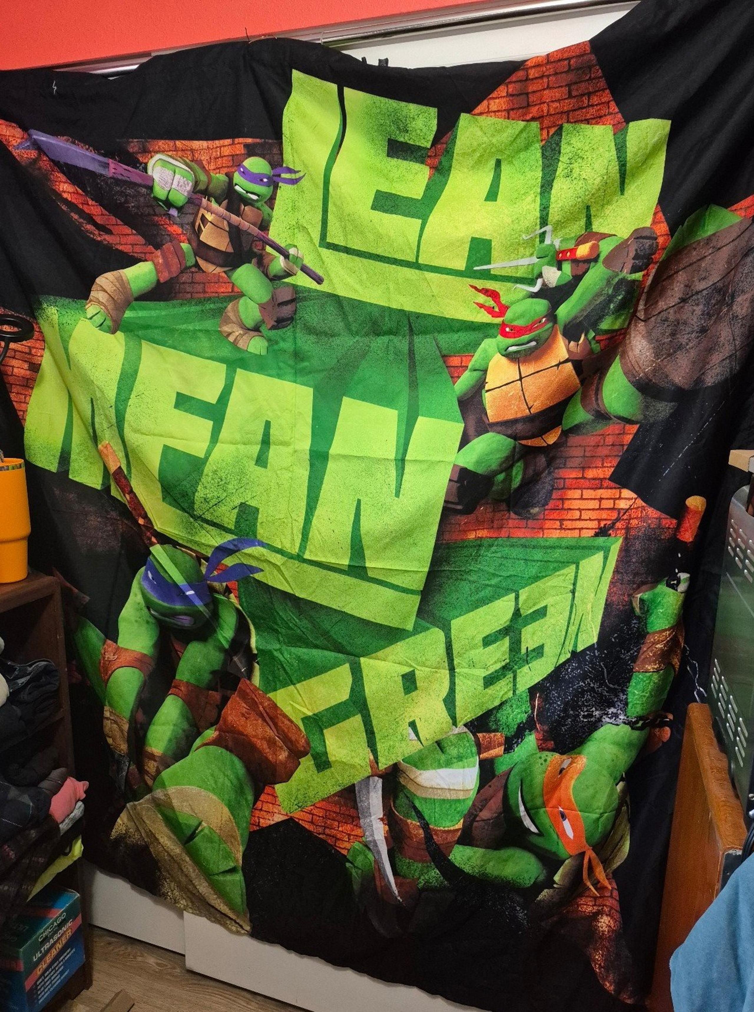 Teenage Mutant Ninja Turtles shower curtain
