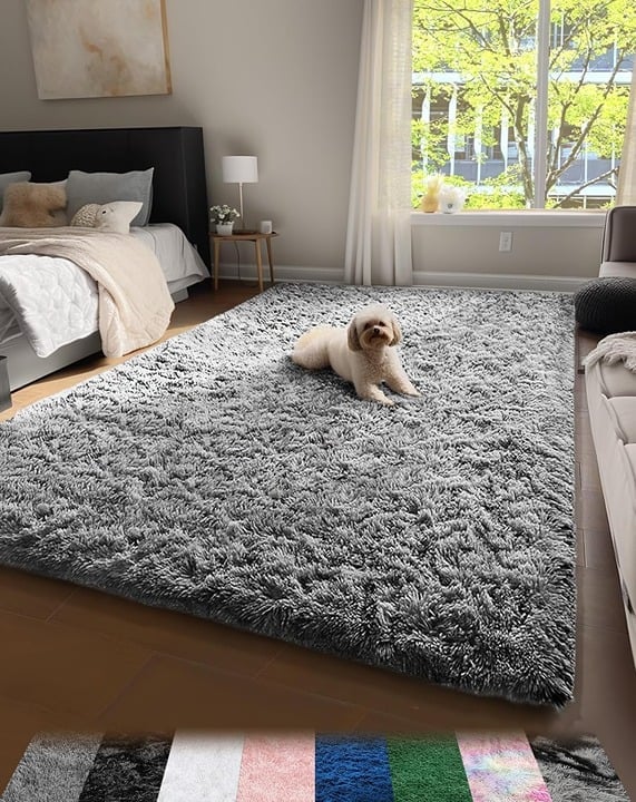 4x6 Rugs for Bedroom Carpet for Living Room