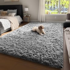 4x6 Rugs for Bedroom Carpet for Living Room