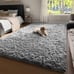 4x6 Rugs for Bedroom Carpet for Living Room
