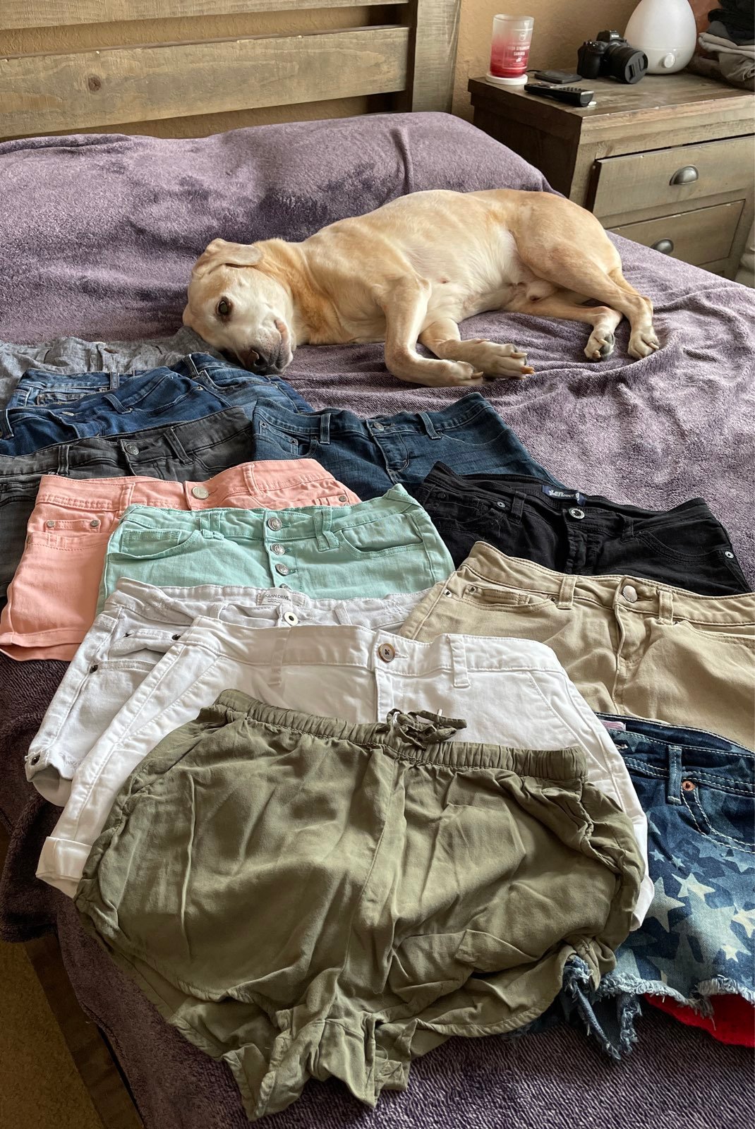 Girls Shorts