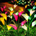 Solar Garden Stake Flower Lights, Outdoo