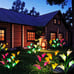 Solar Garden Stake Flower Lights, Outdoo