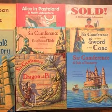 Lot of 11 Math Adventure Books