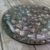 Vintage Design Gifts Abalone Shell Tray