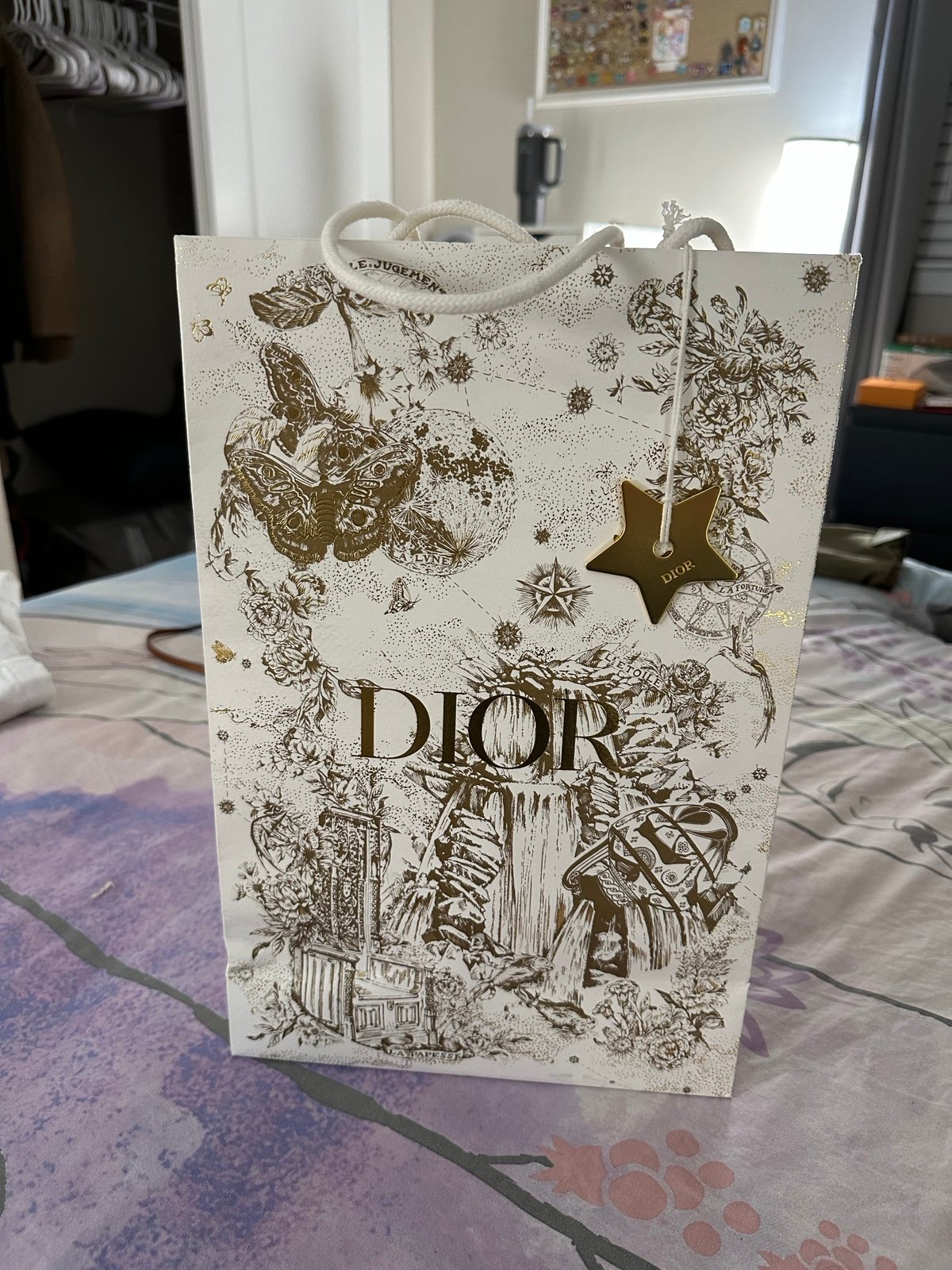 Authentic Dior Shopping Bag