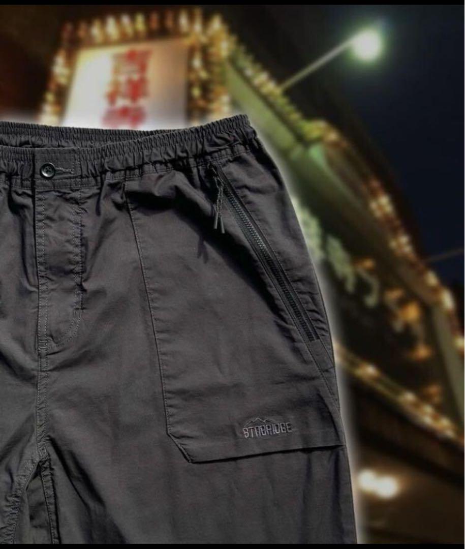 STABRIDGE CITY WALKER PANTS Casual pants
