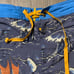Patagonia ocean sailing theme swim trunks