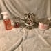B&BW Christmas Bundle