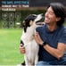 Citronella Dog Training Collar