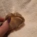 Invicta womens watch gold tone