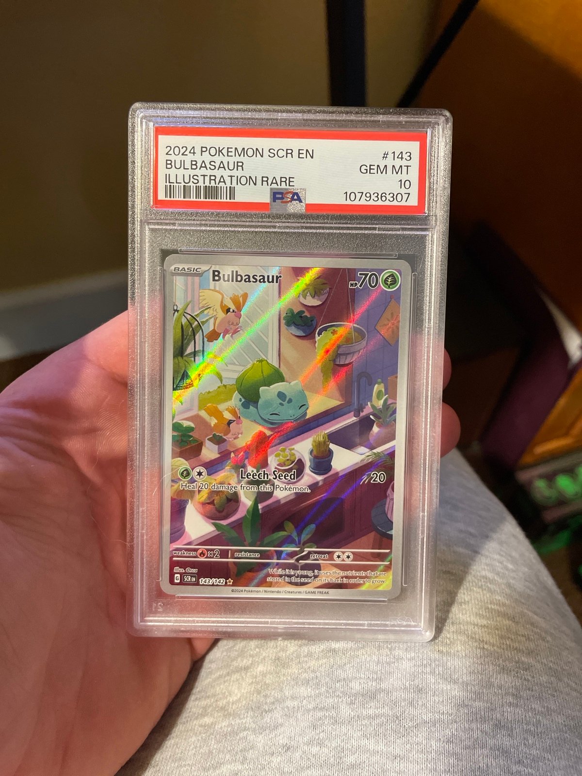 2024 bulbasaur illustration rare