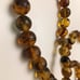 Real Amber Necklace for Unisex
