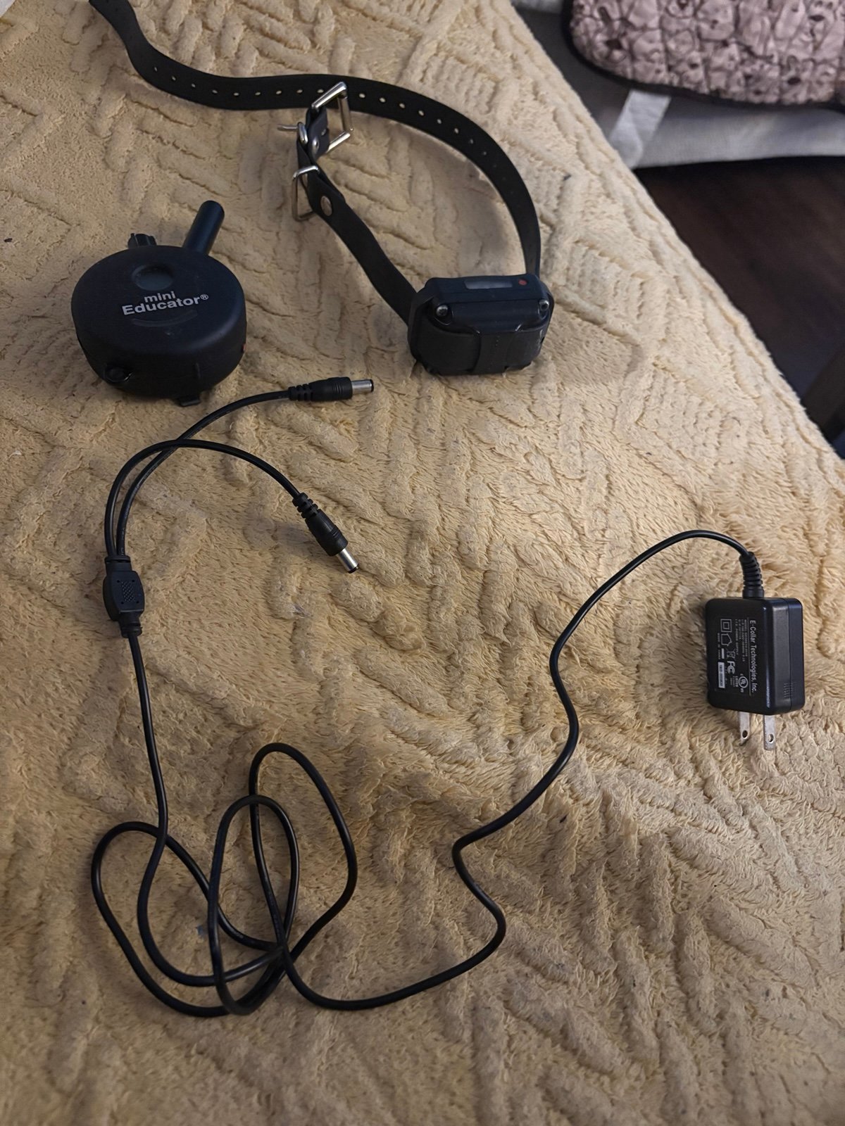 E-Collar