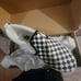 Vans Asher black and white checker slip ons, new in box, tags off