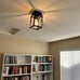 Flush Ceiling Light Fixture with Clear Glass Shade Farmhouse Black