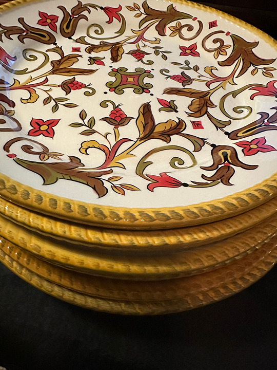 Pier1 Oralia Dinner Plates (6 in Lot) 11-5/8 Earthenware Scroll Design Colorful