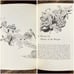 The Silent Spring - Rachel Carson (1st edition 3rd print) Houghton Mifflin 1962