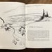 The Silent Spring - Rachel Carson (1st edition 3rd print) Houghton Mifflin 1962