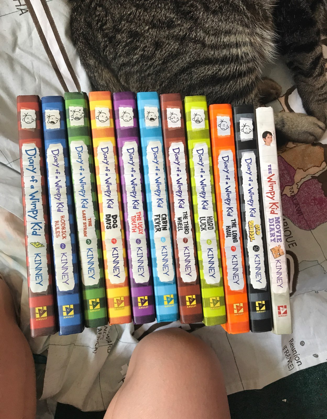 Diary of a Wimpy Kid collection
