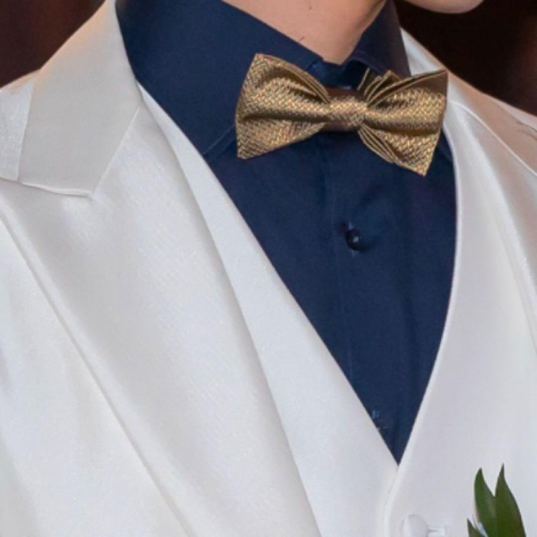 【Almost New】Silk 100% Italian Made Bow Tie mirror mirror