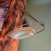 Antique Magnifying Glass