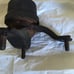 Toyota Sienna 2004-2006 3.3L V6 Genuine