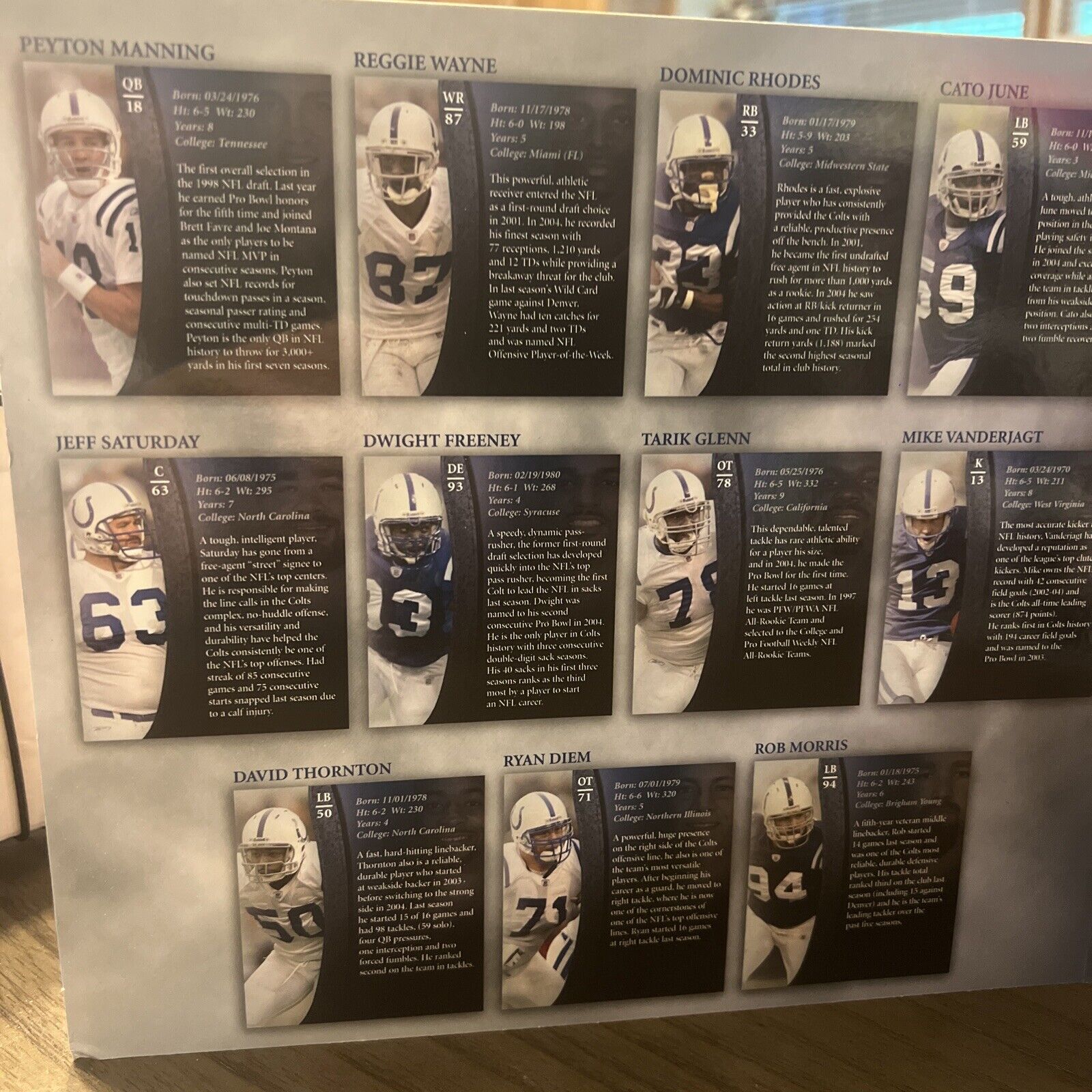 Indianapolis Colts 2005 Medallion Booklet Indystar No Coins Book Only - detail