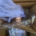 Ashton drake porcelain bride doll