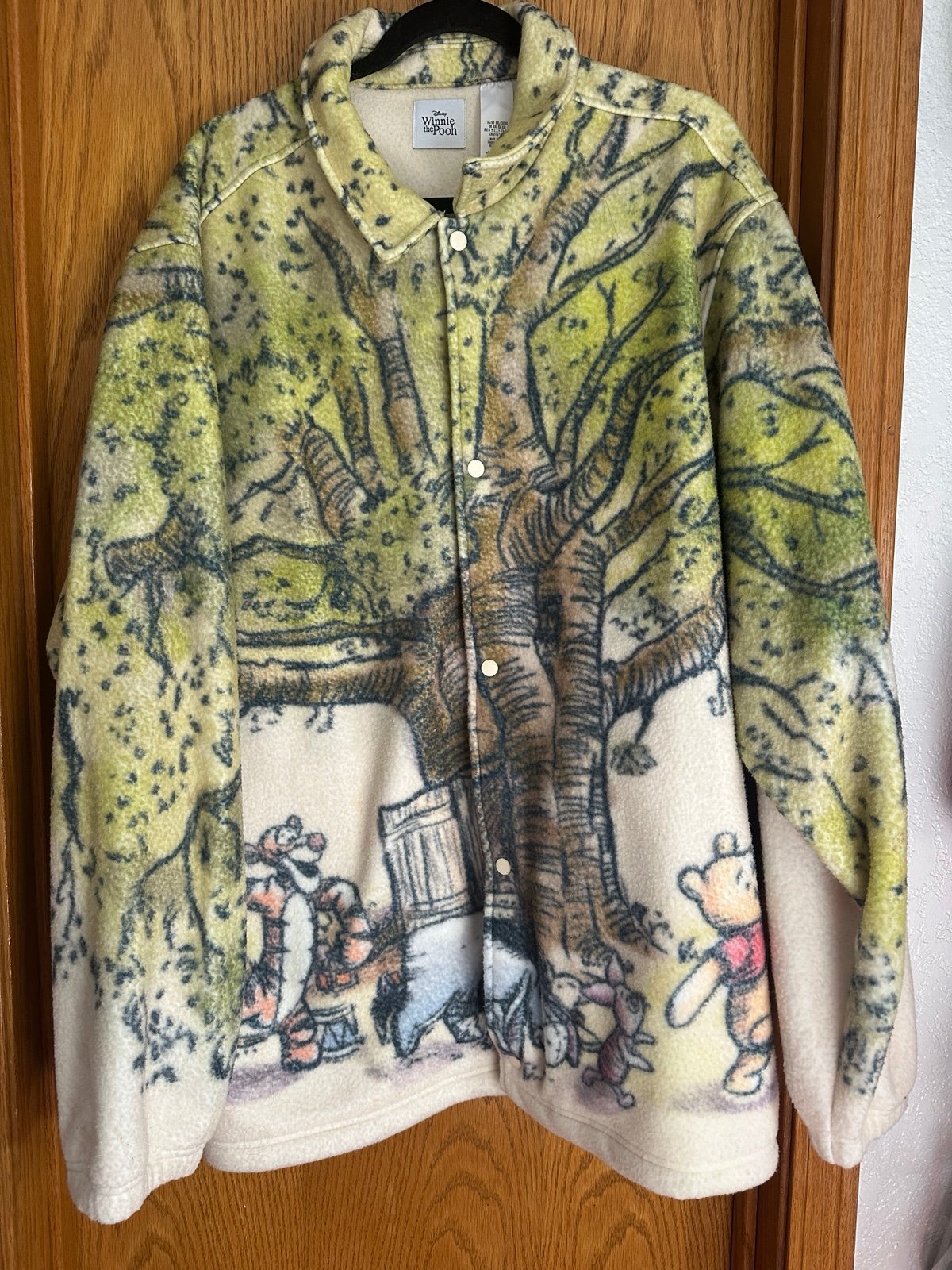 Plus size Winnie the Pooh sweater
