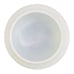 Domed Ceiling Shade Hand Painted 1930s Frosted Glass Dome Vintage Light Flowers