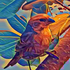 Bird on a leaf.