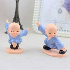 Lovely kung fu monk car interior