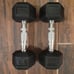 Sporzon! 10lb Dumbbells