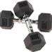 Sporzon! 10lb Dumbbells