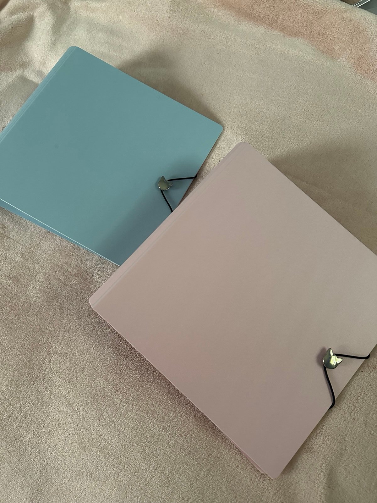 two meowcafe 2in a5 binders (pink & blue)