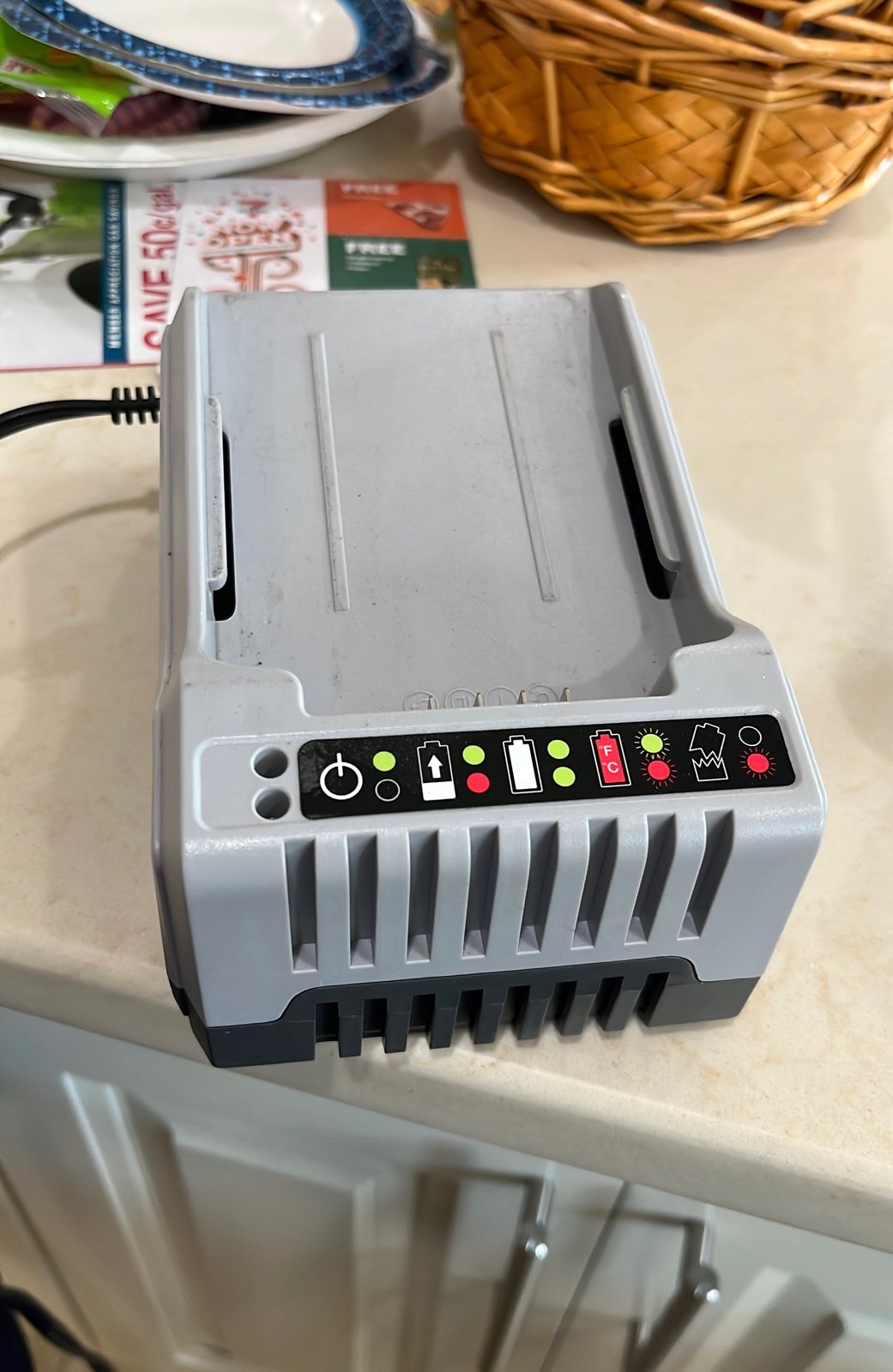 Snow joe Lithium battery charger