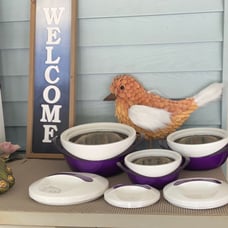 Pinnacle Purple Thermal Insulated Bowl Set with Locking Lids