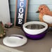 Pinnacle Purple Thermal Insulated Bowl Set with Locking Lids