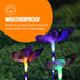 Garden Stakes, Color Changing LED, Outdoor Garden Decoration, 5 x 30 Inch