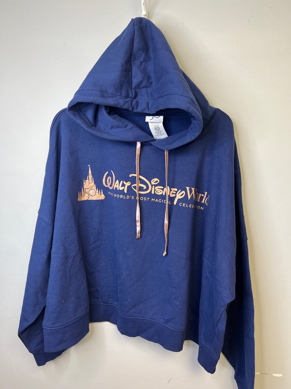 blue womens Disney hoodie size 2x