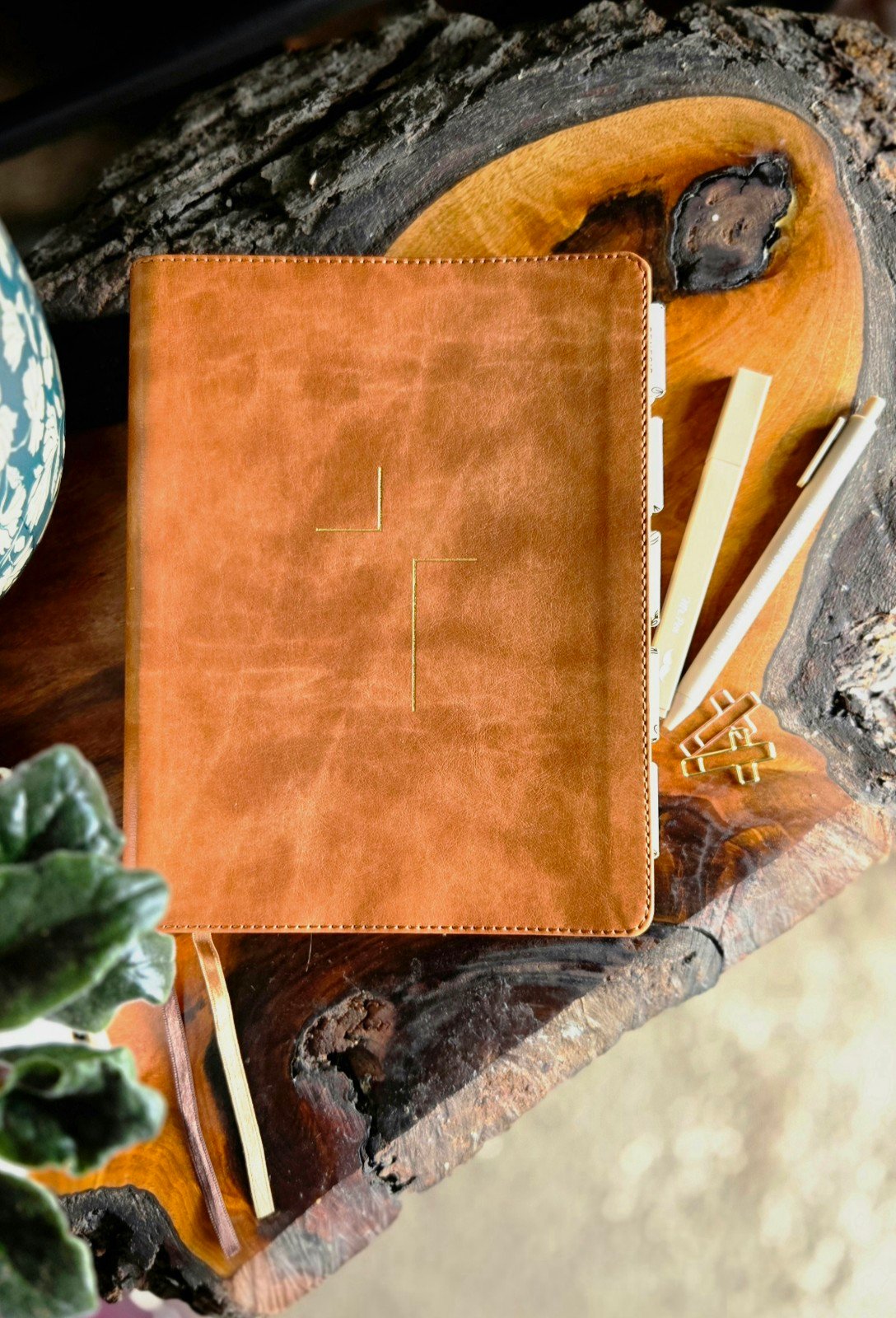 The Jesus Bible - Hand Tabbed "Classic"