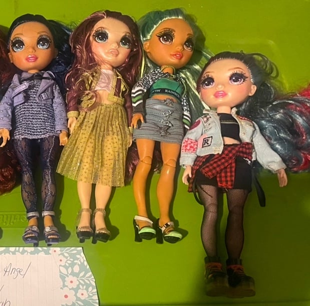 Rainbow High Doll Lot