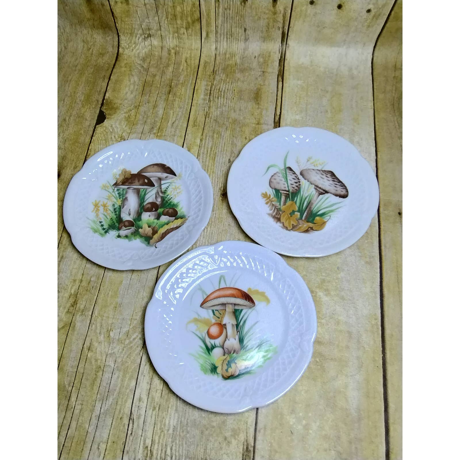 Vtg Louise Lourioux Wild Mushrooms Bread & Butter Plates Set of 3 France Berry