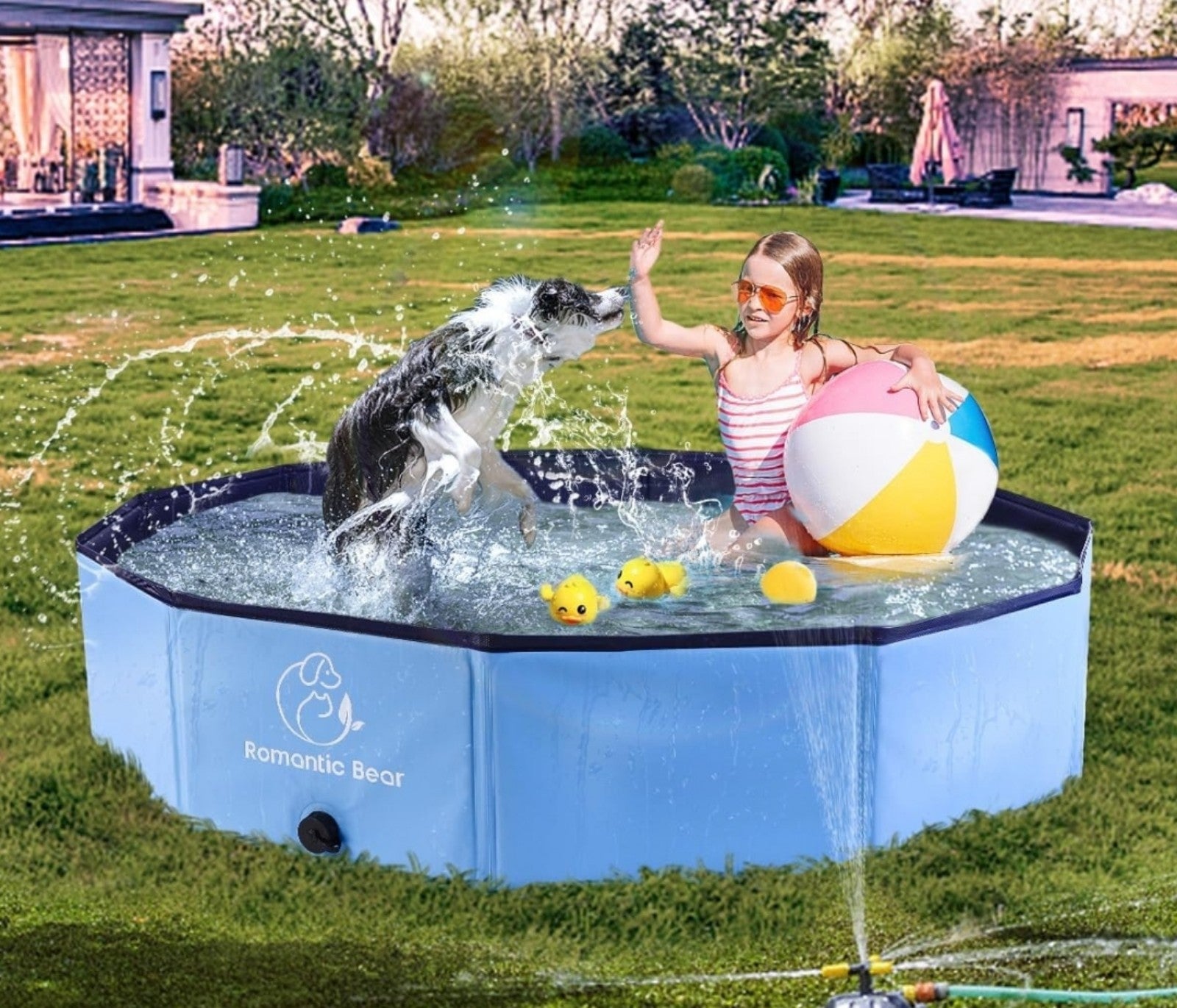 Foldable Collapsible Portable Swimming Bathing Tub for Dogs, Cats, and even Kids