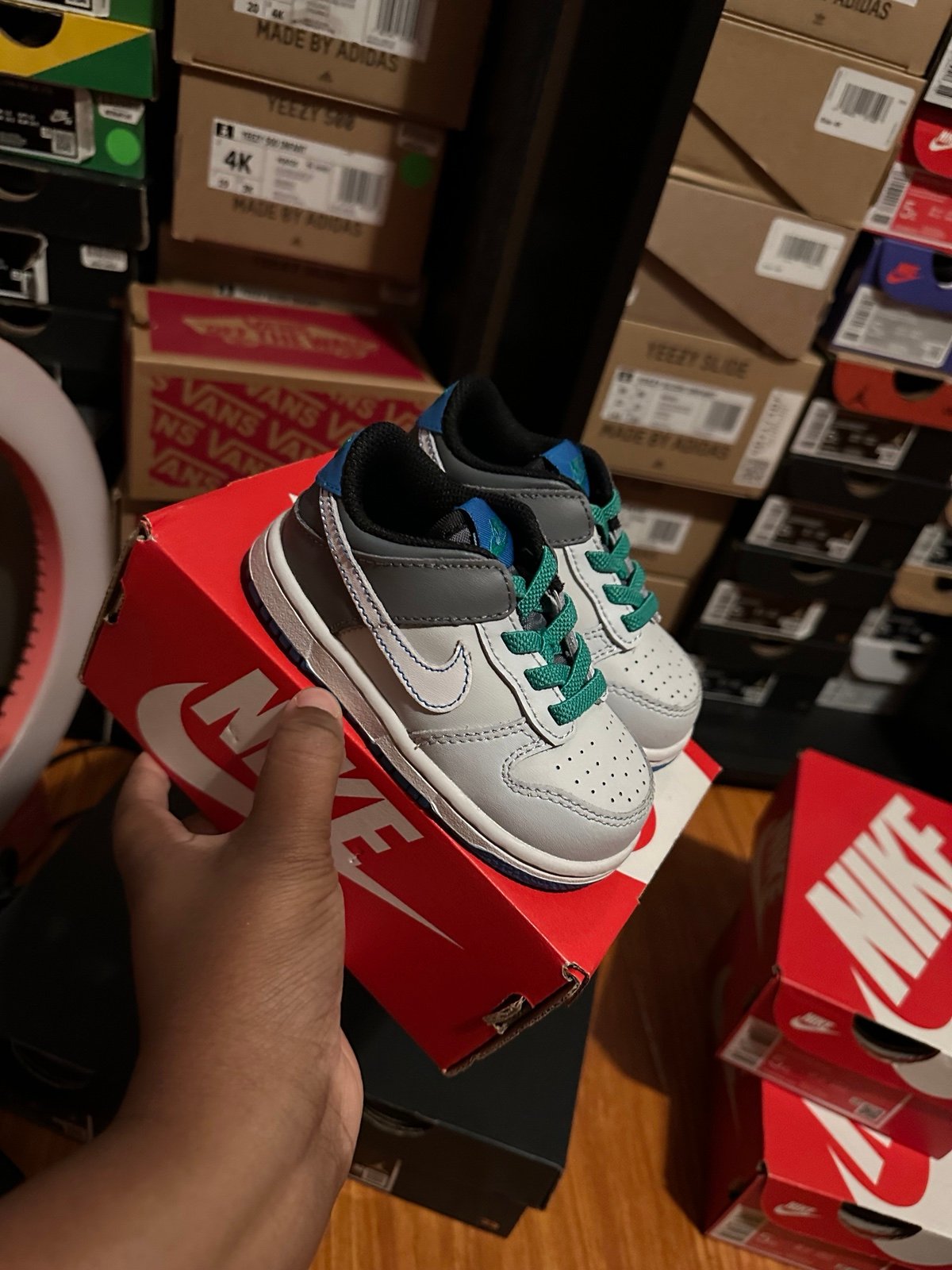 6c dunks
