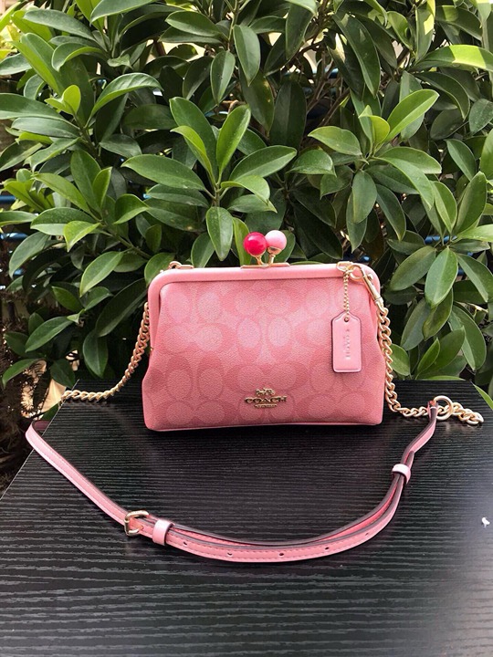 COACH Nora Kisslock Crossbody